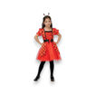 Picture of LADYBIRD COSTUME WITH HEADBAND, BELT 5-6 YEARS